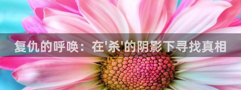 香蕉漫画在线下载：复仇的呼唤：在\'杀\'的阴影下寻找真相