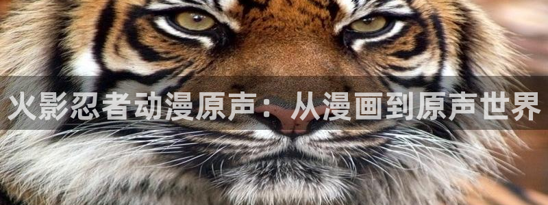 香蕉漫画弹窗入口：火影忍者动漫原声：从漫画到原声世界